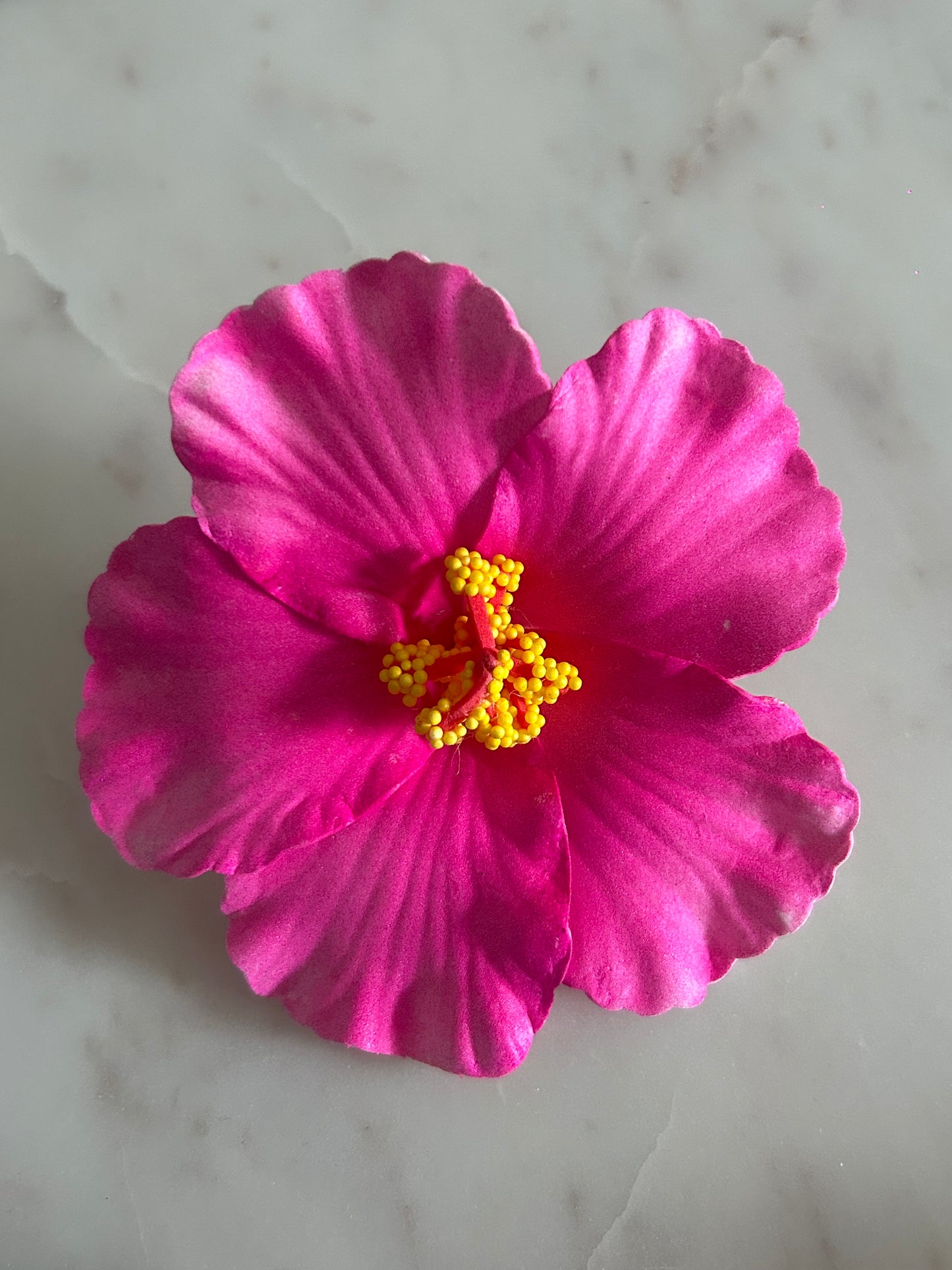 Fucsia Flower