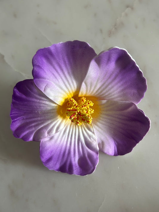 Purple Flower
