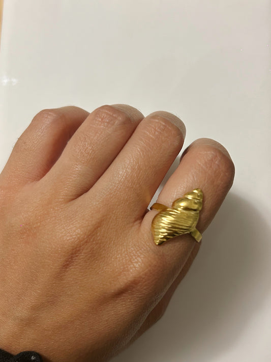 Boquerón Ring