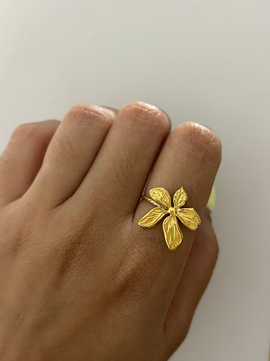 Bai Ring
