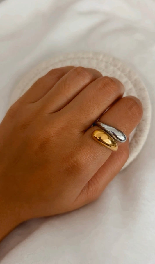 Gold & Silver Ring